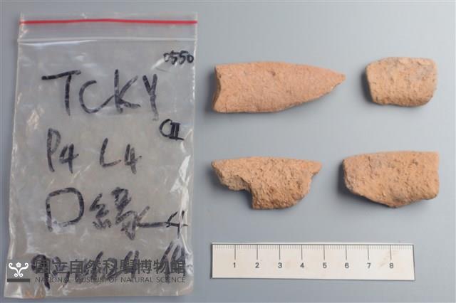 陶片藏品圖，第2張