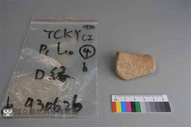 陶片藏品圖，第2張