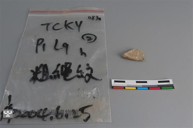 陶片藏品圖，第2張