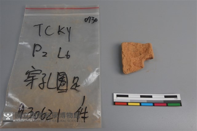陶片藏品圖，第2張