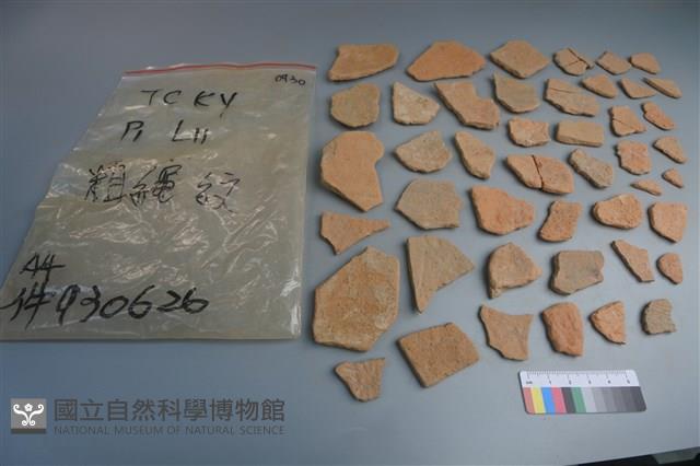 陶片藏品圖，第2張