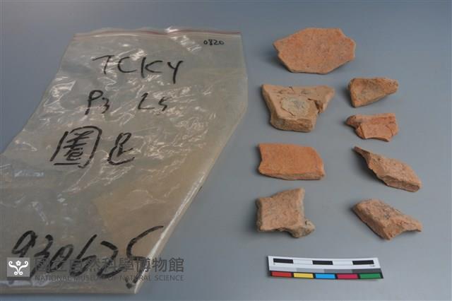 陶片藏品圖，第2張