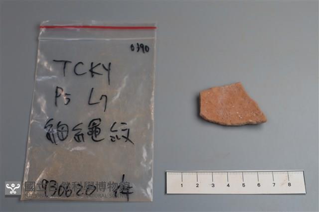 陶片藏品圖，第2張