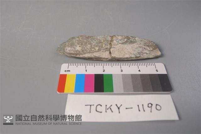 磨製石器藏品圖，第2張