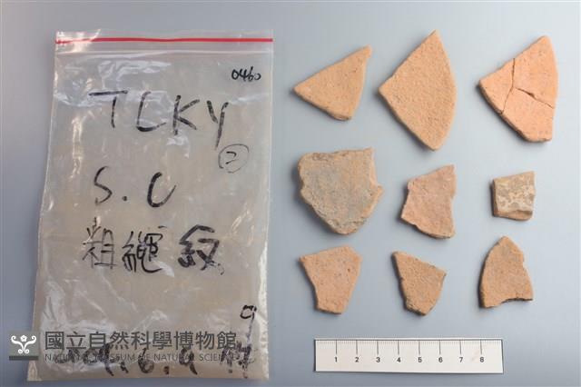 陶片藏品圖，第2張
