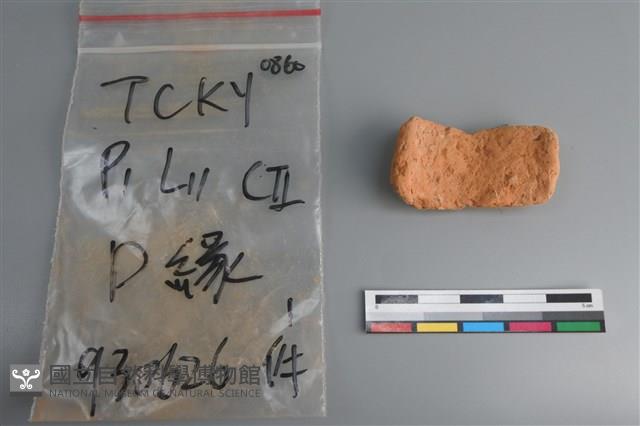 陶片藏品圖，第2張