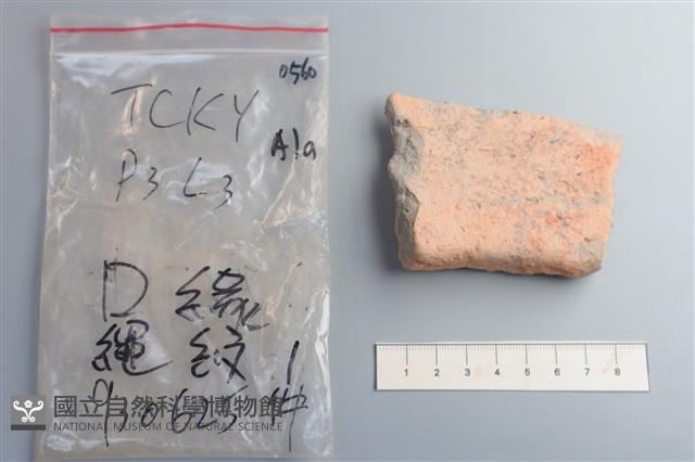 陶片藏品圖，第2張