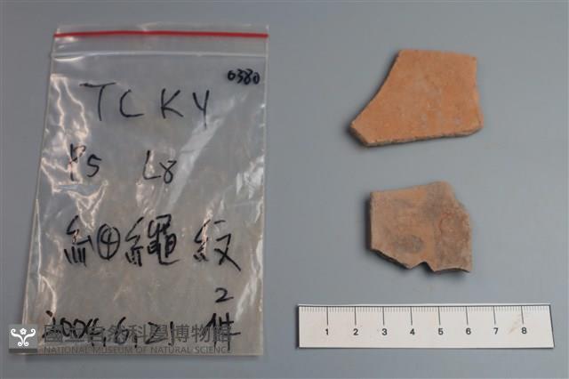 陶片藏品圖，第2張