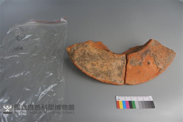 陶盆藏品圖，第2張