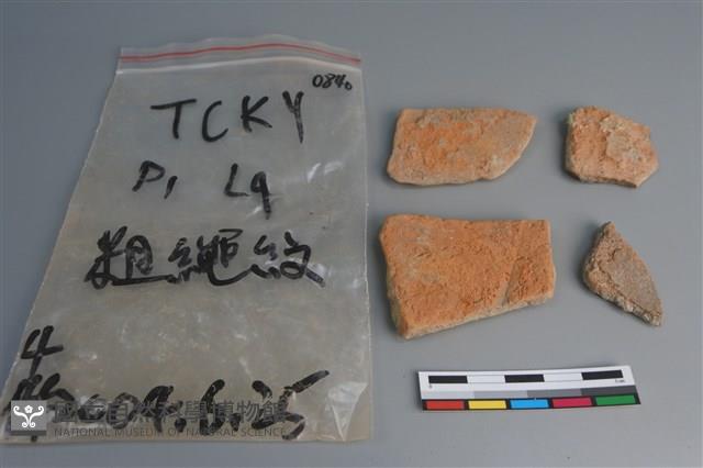 陶片藏品圖，第2張