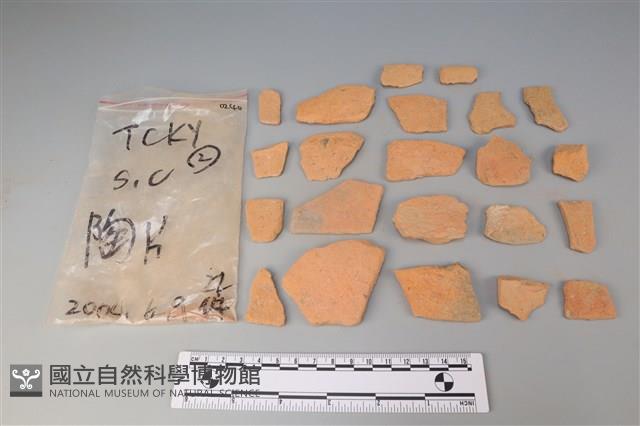 陶片藏品圖，第2張