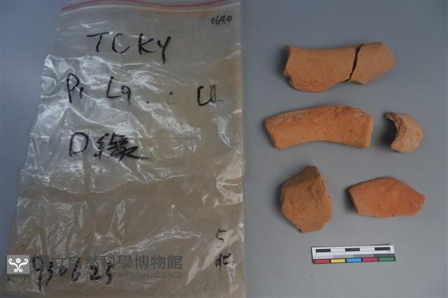 陶片藏品圖，第2張