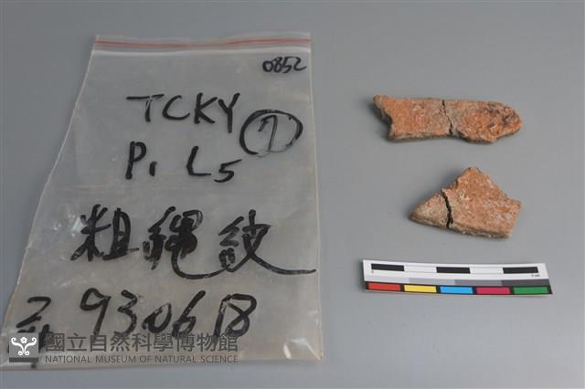 陶片藏品圖，第2張