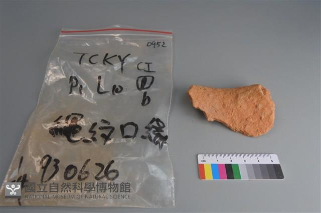 陶片藏品圖，第2張