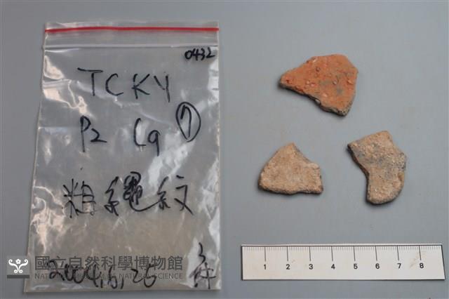 陶片藏品圖，第2張