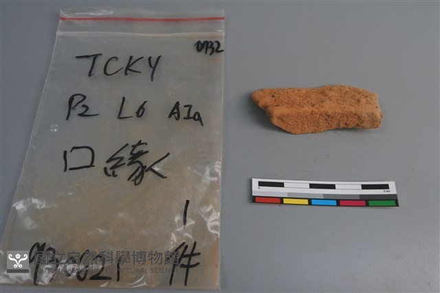陶片藏品圖，第2張