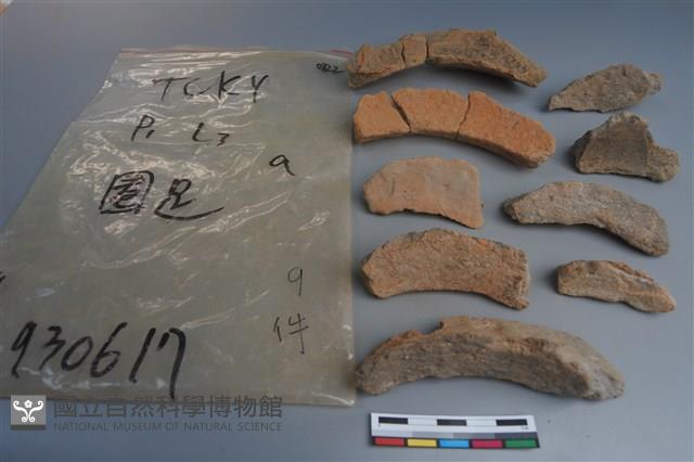 陶片藏品圖，第2張