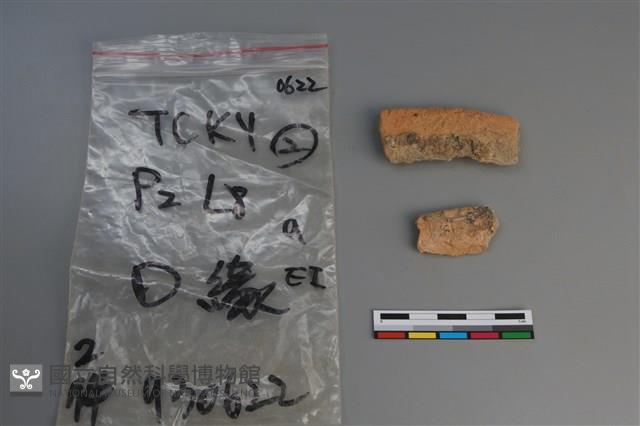 陶片藏品圖，第2張