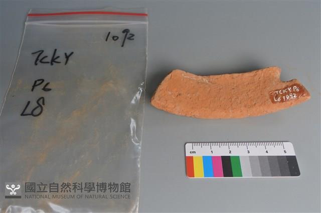 陶片藏品圖，第2張