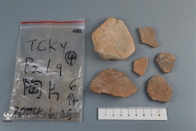 陶片藏品圖，第2張
