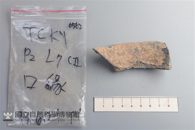 陶片藏品圖，第2張