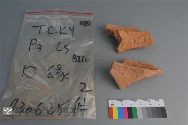 陶片藏品圖，第2張