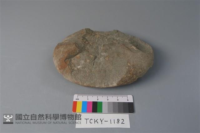 石胚藏品圖，第2張