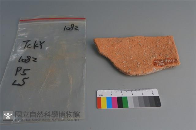 陶片藏品圖，第2張