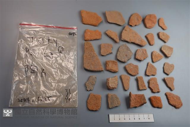 陶片藏品圖，第2張