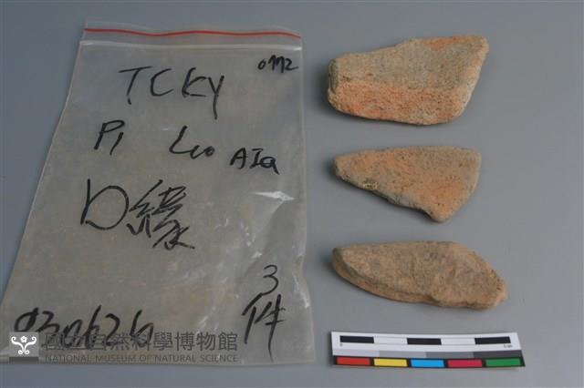 陶片藏品圖，第2張