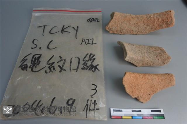 陶片藏品圖，第2張