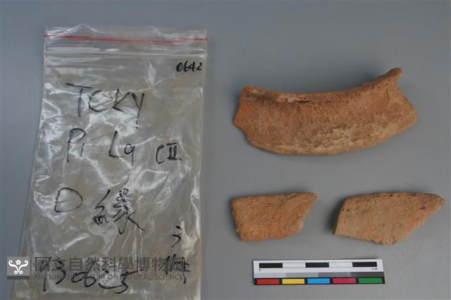 陶片藏品圖，第2張