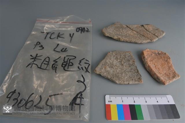 陶片藏品圖，第2張