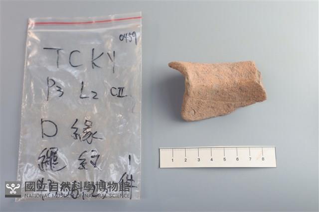 陶片藏品圖，第2張