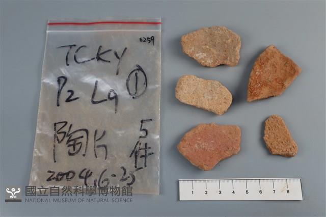 陶片藏品圖，第2張