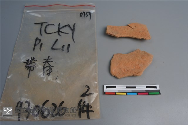 陶片藏品圖，第2張