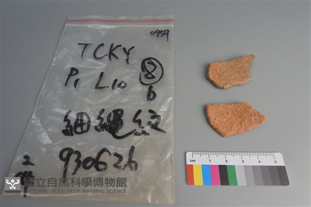 陶片藏品圖，第2張