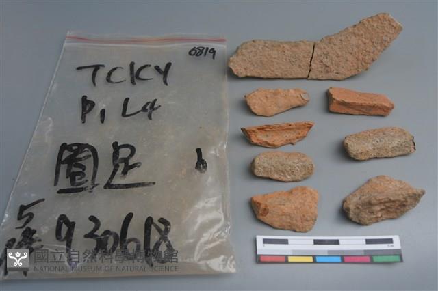 陶片藏品圖，第2張