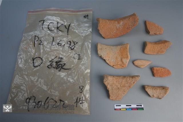 陶片藏品圖，第2張