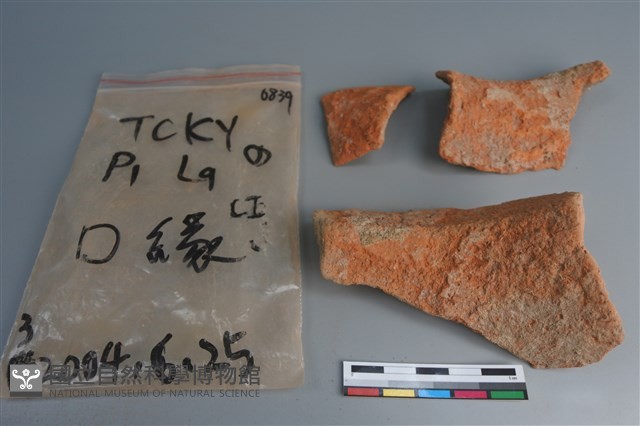陶片藏品圖，第2張