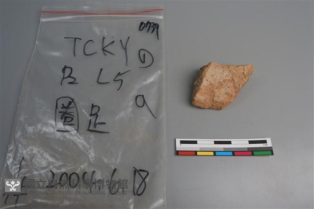 陶片藏品圖，第2張