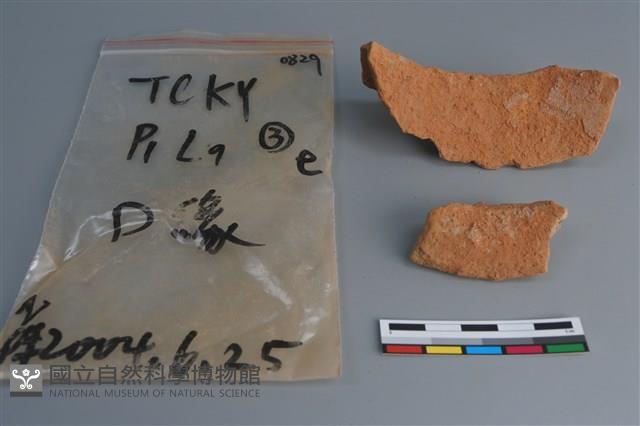 陶片藏品圖，第2張