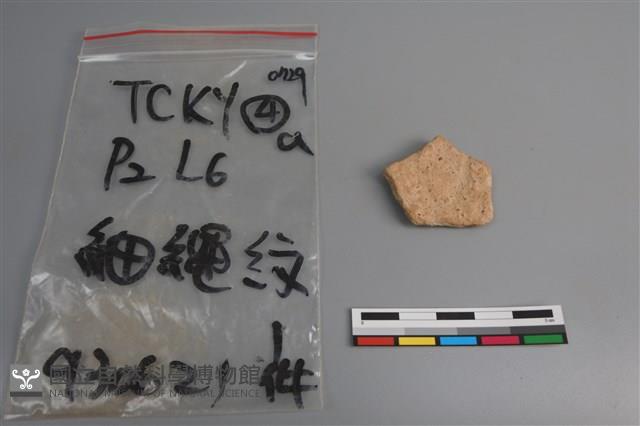 陶片藏品圖，第2張