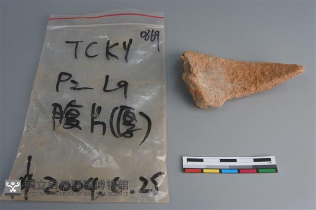 陶片藏品圖，第2張