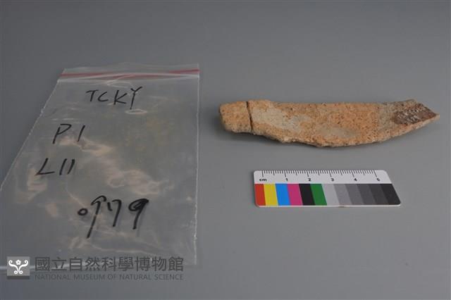 陶片藏品圖，第2張