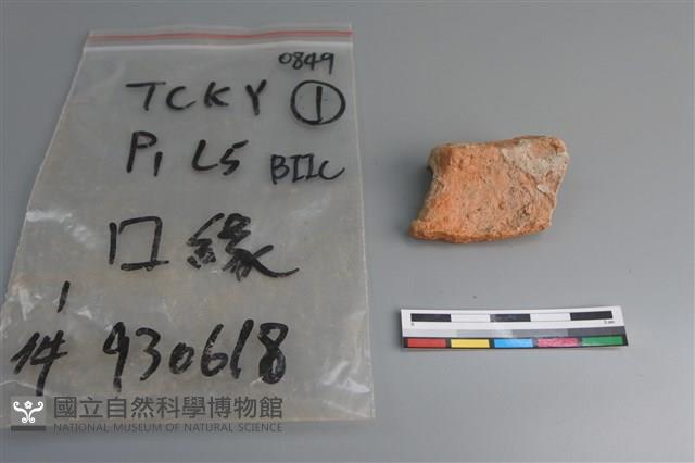 陶片藏品圖，第2張