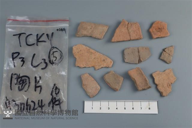 陶片藏品圖，第2張