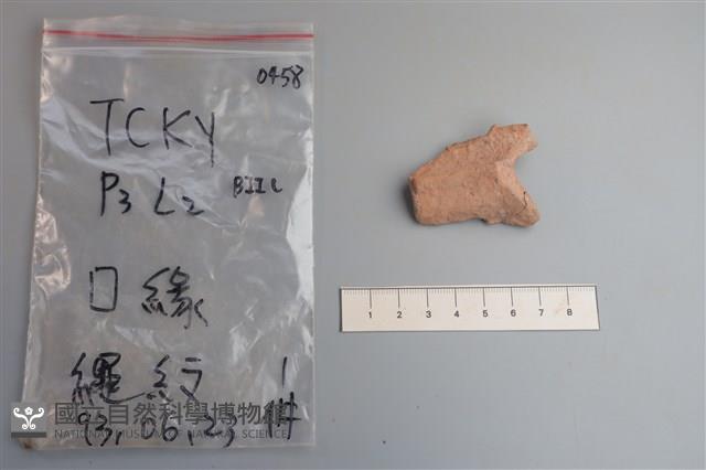 陶片藏品圖，第2張