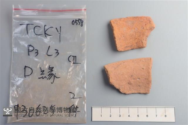 陶片藏品圖，第2張