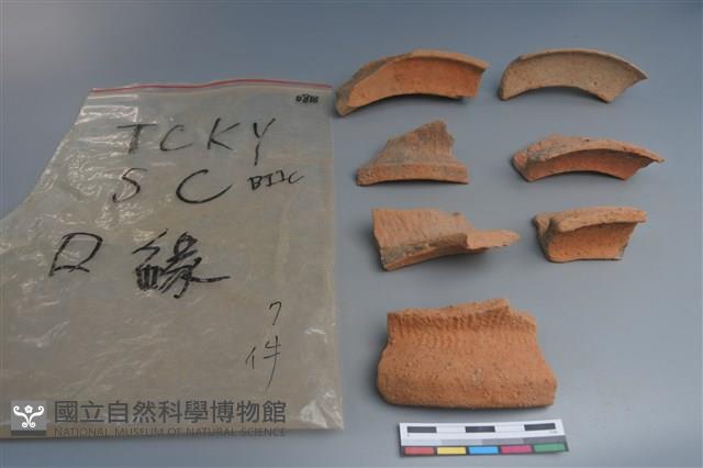 陶片藏品圖，第2張